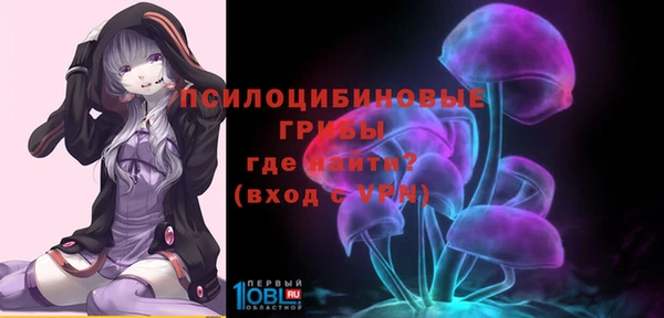 прущие грибы Армянск