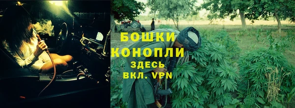 прущие грибы Армянск