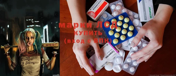 прущие грибы Армянск