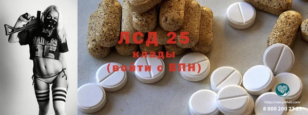 прущие грибы Армянск